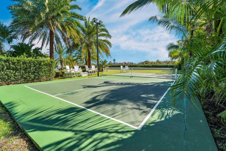 Palm-framed pickleball court
